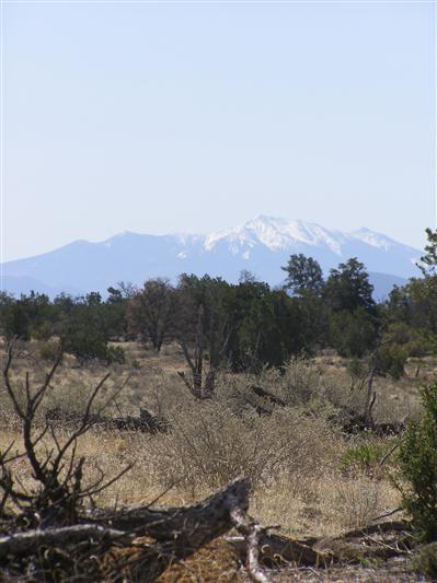 0 North S Rim Ranch Road Williams, AZ 86046 - Photo 3 of 9 Additional Photo