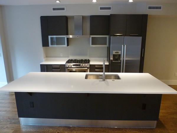 10 St George Street, Unit 103 Boston, MA 02118 - Photo 4 of 8