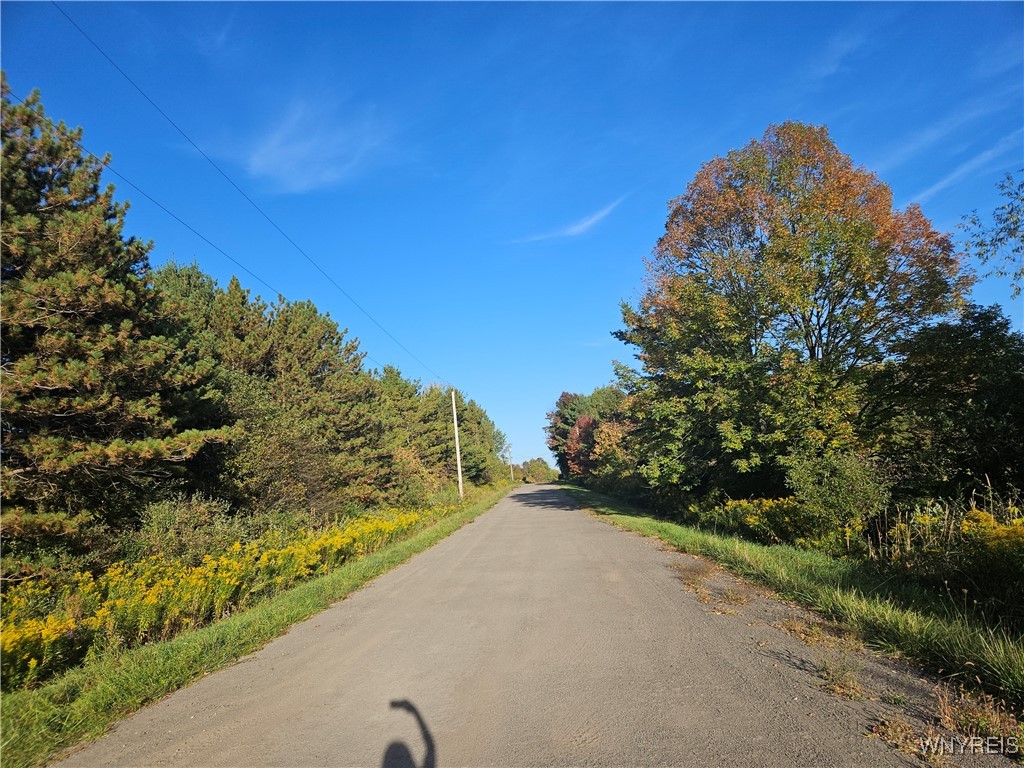 9744 Hill Road Rushford, NY 14060 - Photo 33 of 34 Hill Rd off of Route 243