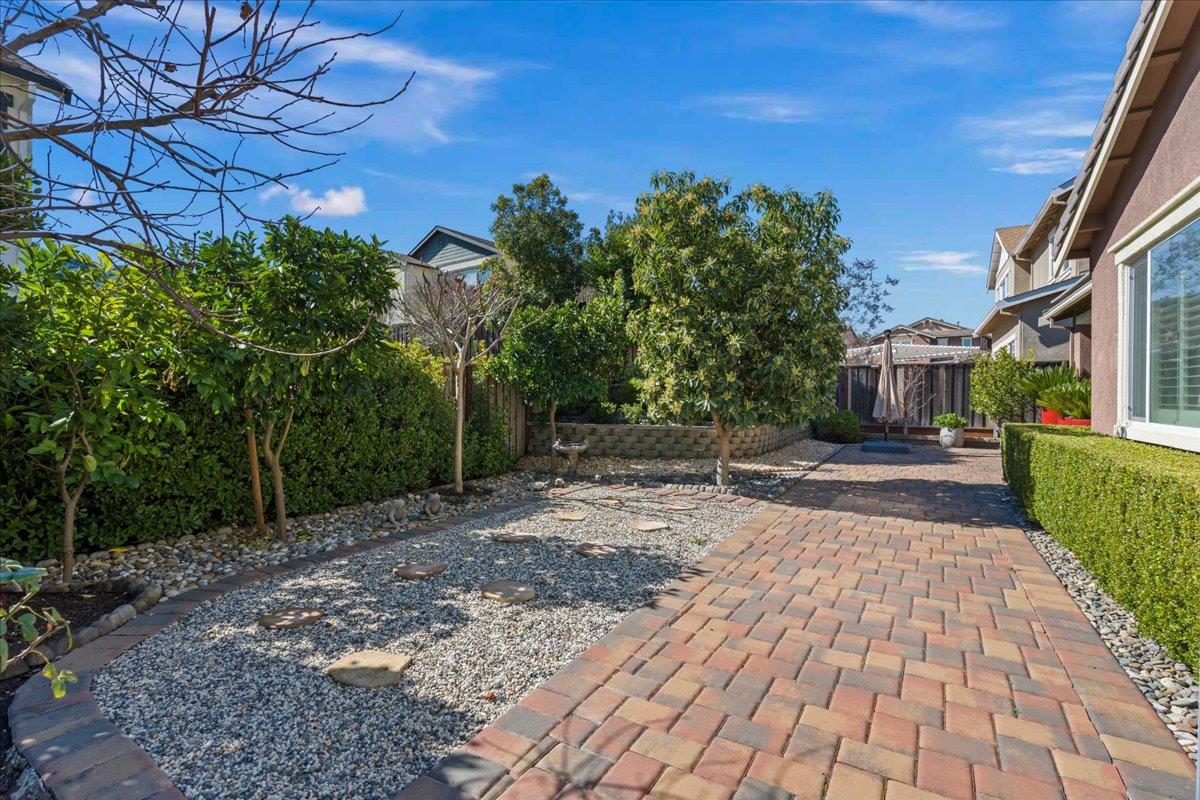 1188 Viognier Way Gilroy, CA 95020 - Photo 63 of 71 a view of a yard with plants and a large tree