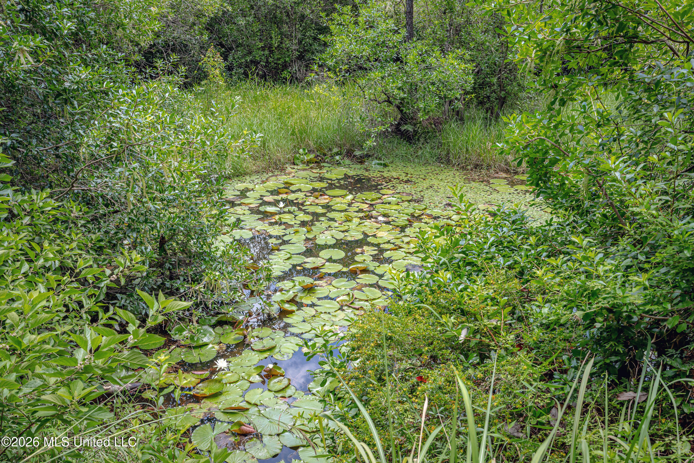 15608 Stanley Road Vancleave, MS 39565 - Photo 5 of 61 IMG_1275
