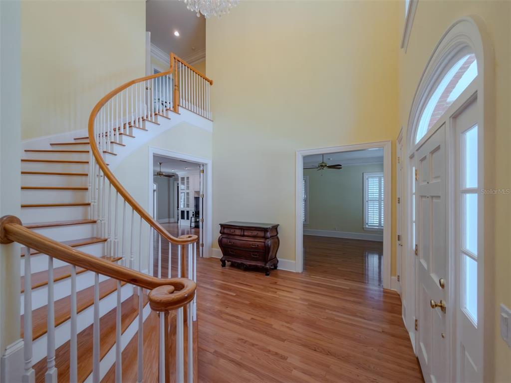 1816 South Dover Road Dover, FL 33527 - Photo 36 of 86