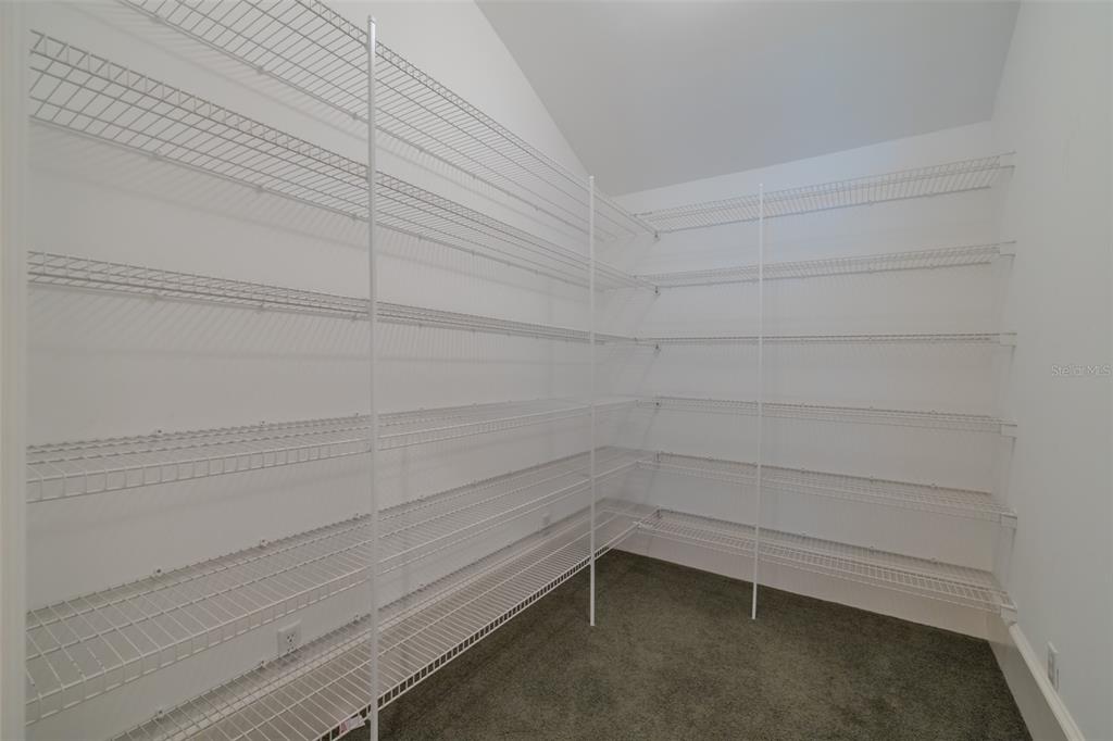 1816 South Dover Road Dover, FL 33527 - Photo 54 of 86