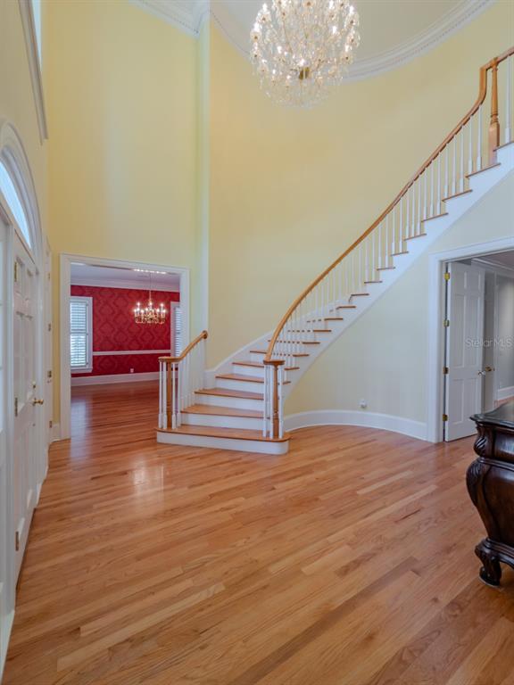 1816 South Dover Road Dover, FL 33527 - Photo 65 of 86