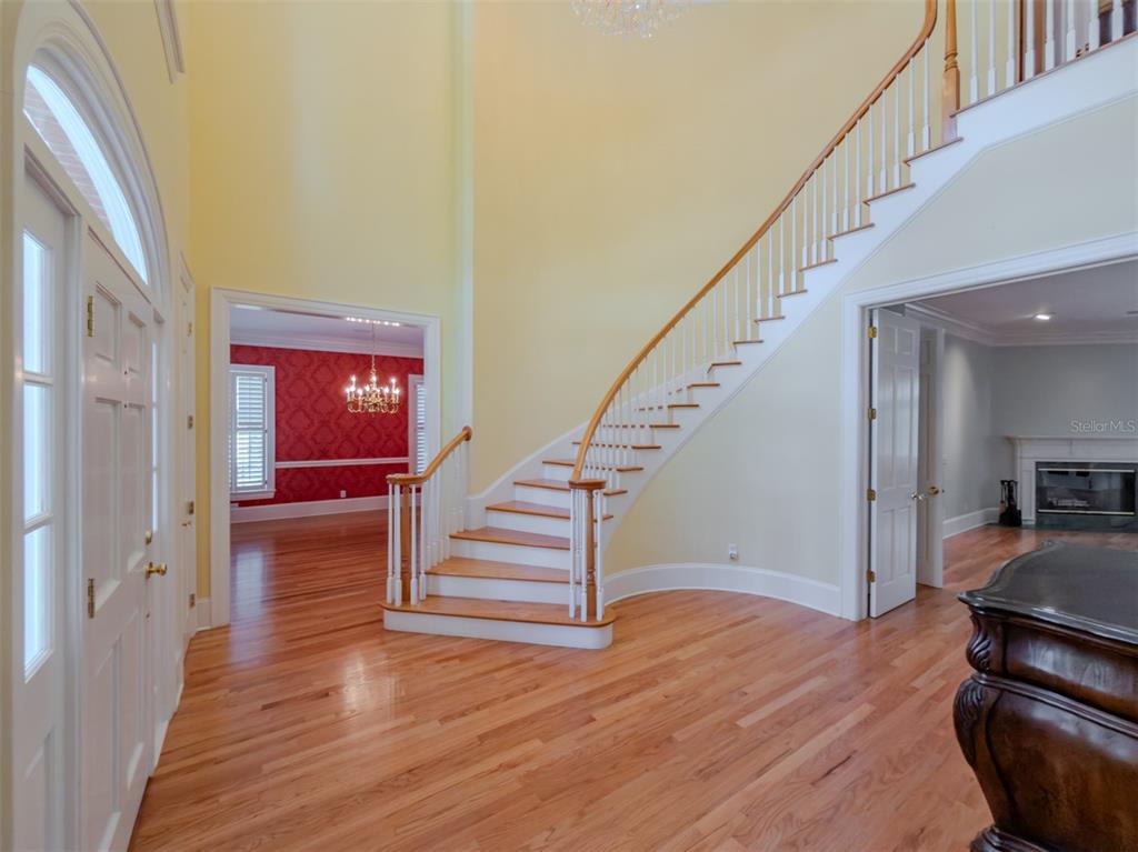 1816 South Dover Road Dover, FL 33527 - Photo 67 of 86