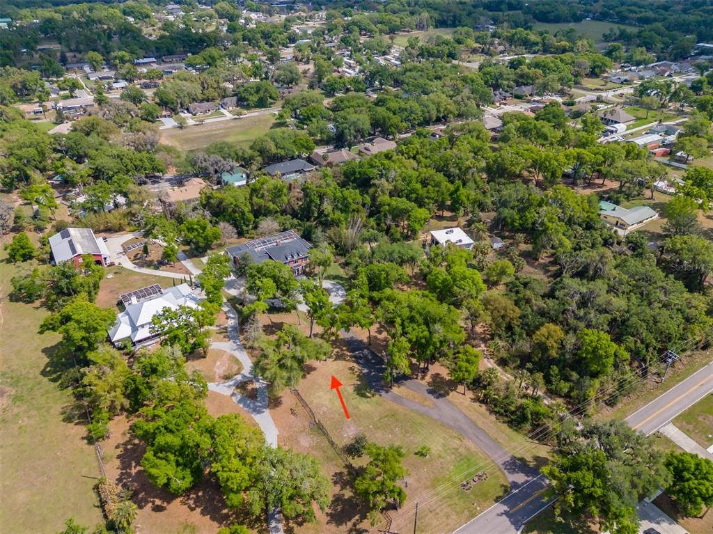 1816 South Dover Road Dover, FL 33527 - Photo 84 of 86