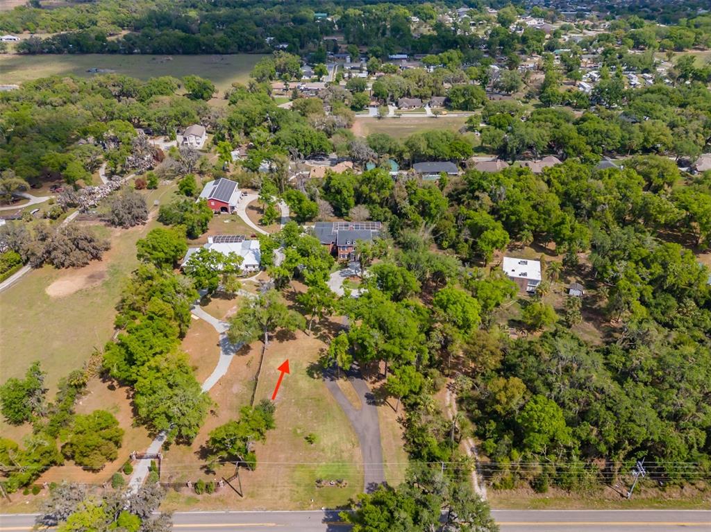 1816 South Dover Road Dover, FL 33527 - Photo 85 of 86