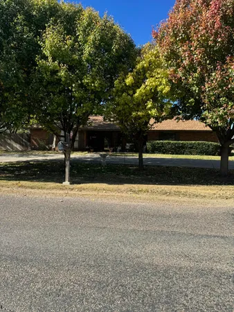 a view of a yard with large trees