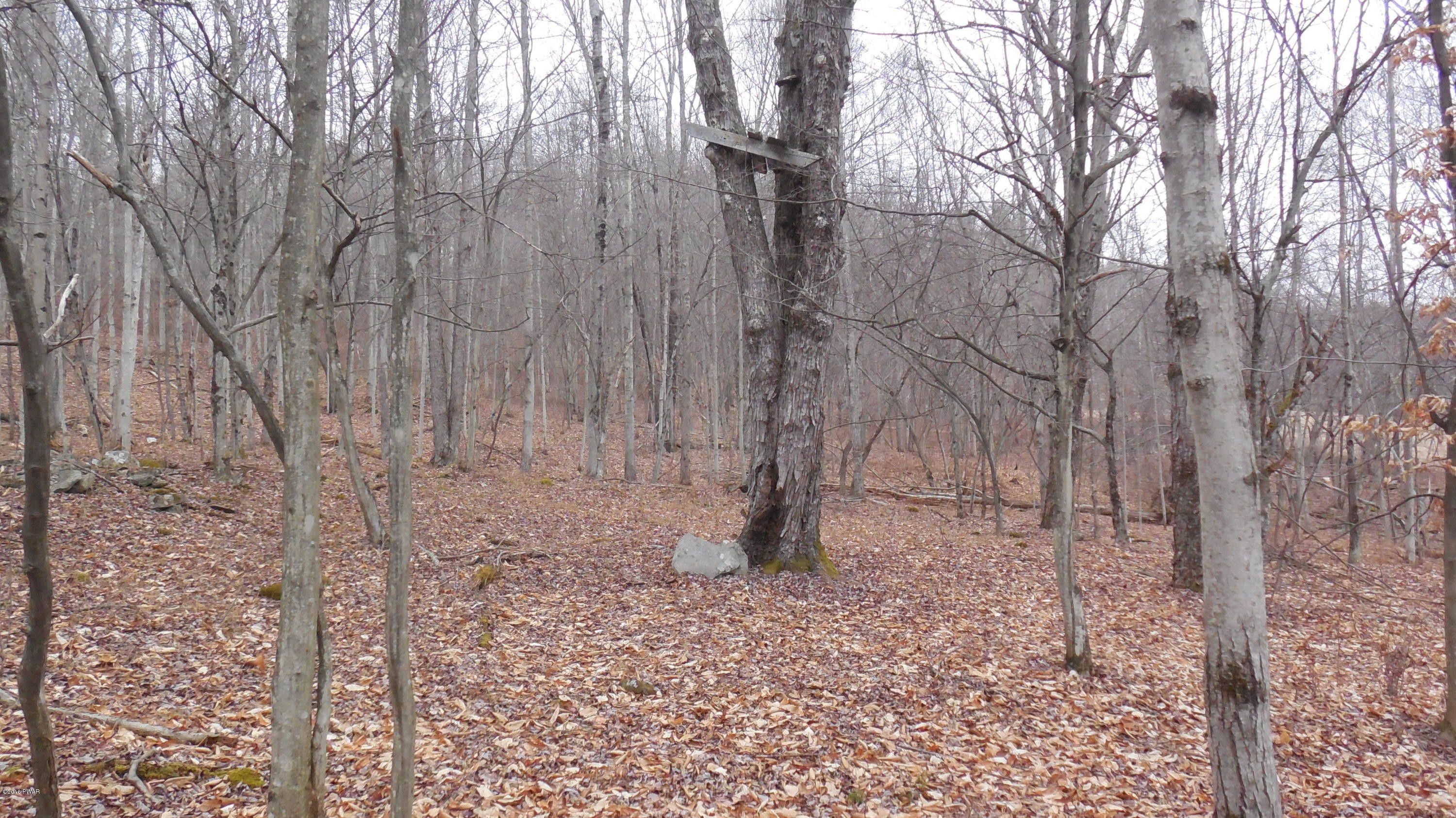 352 Hellmers Hill Road Equinunk, PA 18417 - Photo 29 of 34