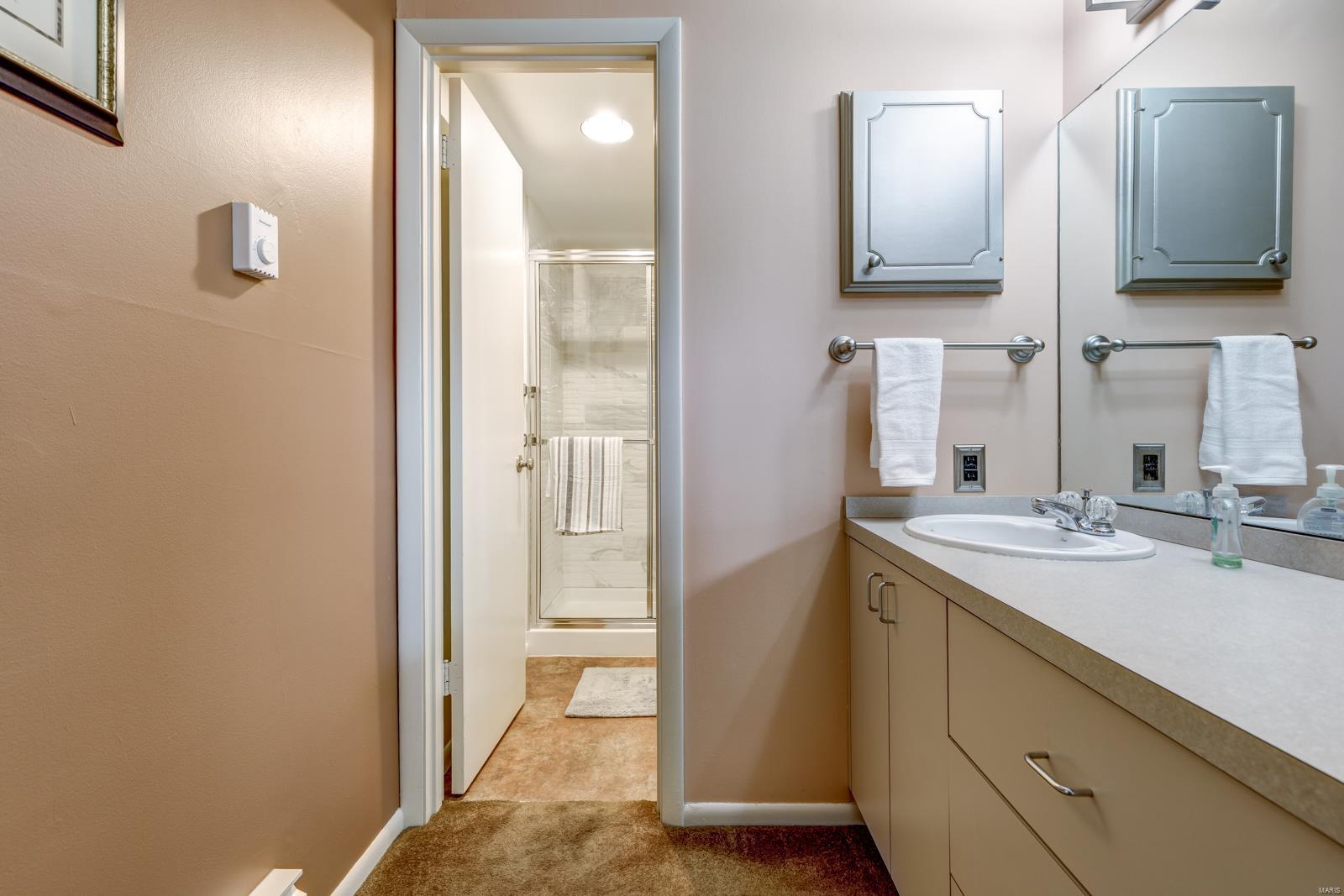 1660 Blue Ridge Drive, Unit A St. Louis, MO 63125 - Photo 21 of 27