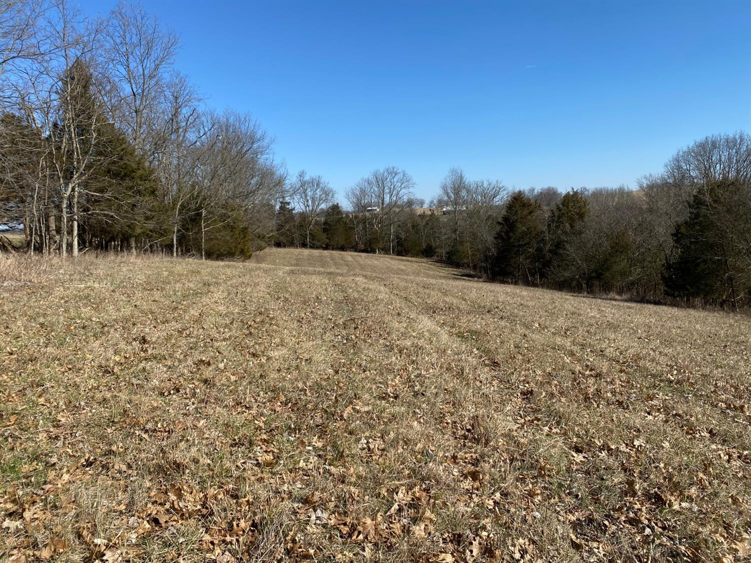 0 Denny Road Corinth, KY 41010 - Photo 14 of 18 Photo 14