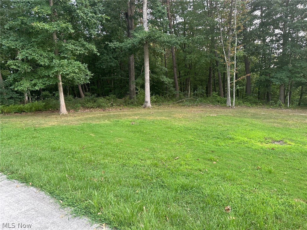 984 Welch Road Cutler, OH 45724 - Photo 8 of 11 Gallery Image 8