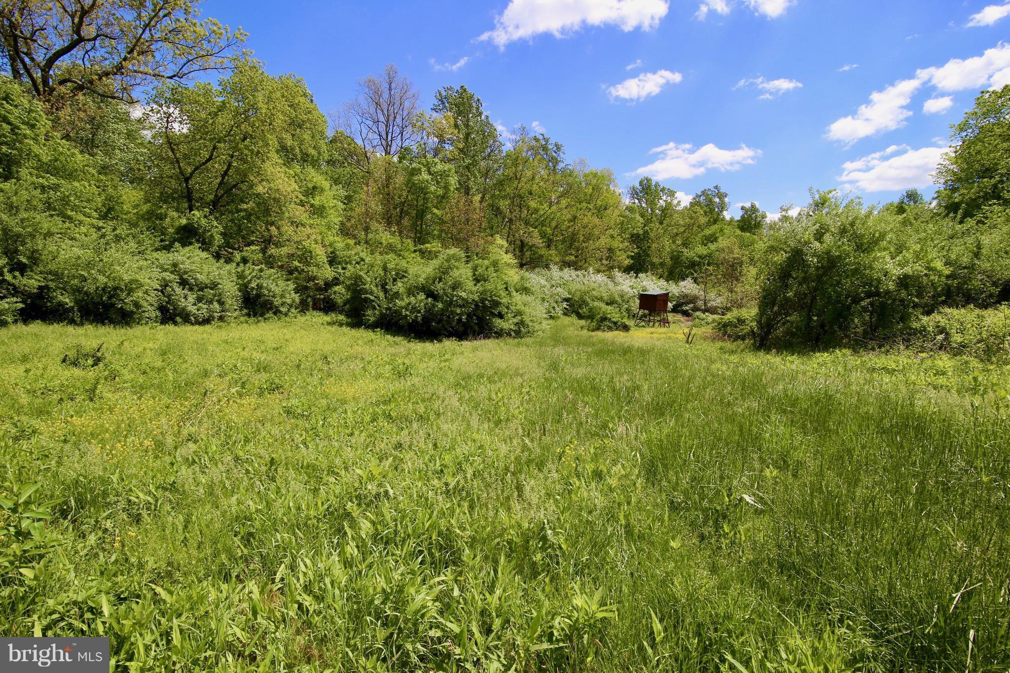 22064 Sam Fred Road Middleburg, VA 20117 - Photo 4 of 17 Exterior (General)