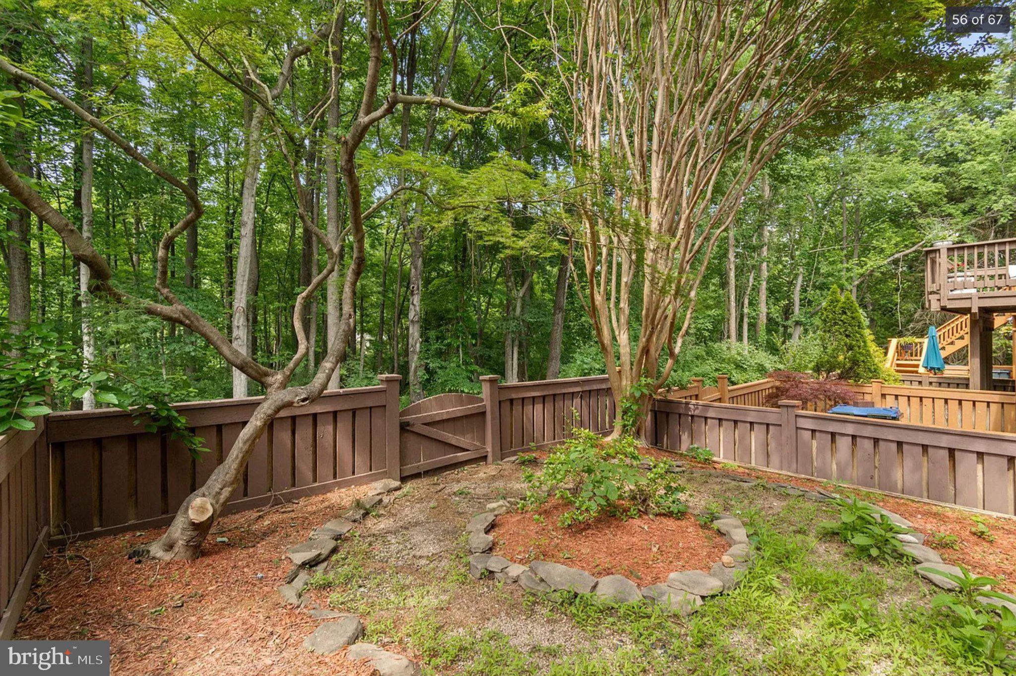 3906 Valley Ridge Drive Fairfax, VA 22033 - Photo 54 of 58 Serene backyard oasis in lush greenery.