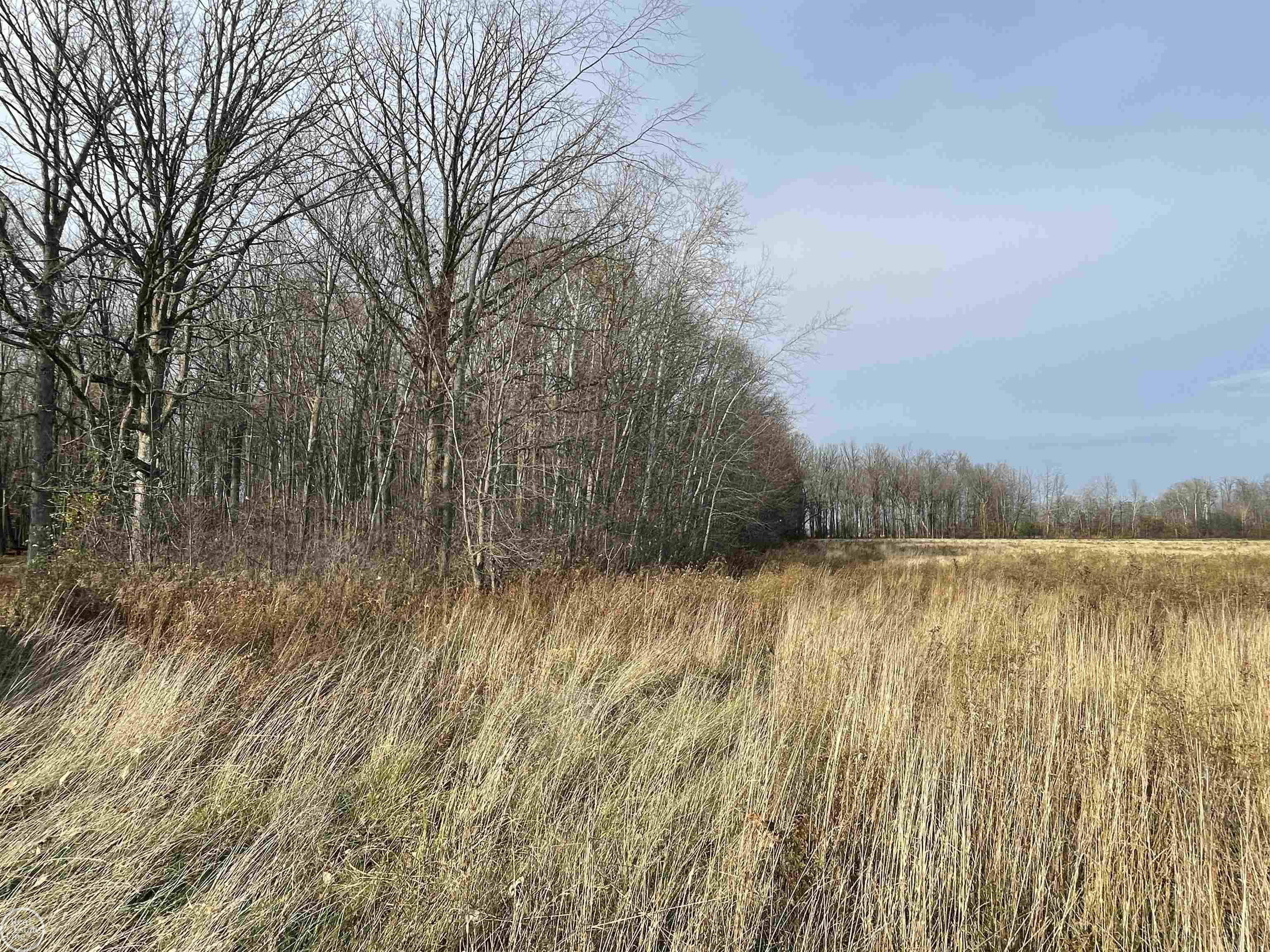 Vl Cribbins Road Avoca, MI 48006 - Photo 7 of 7