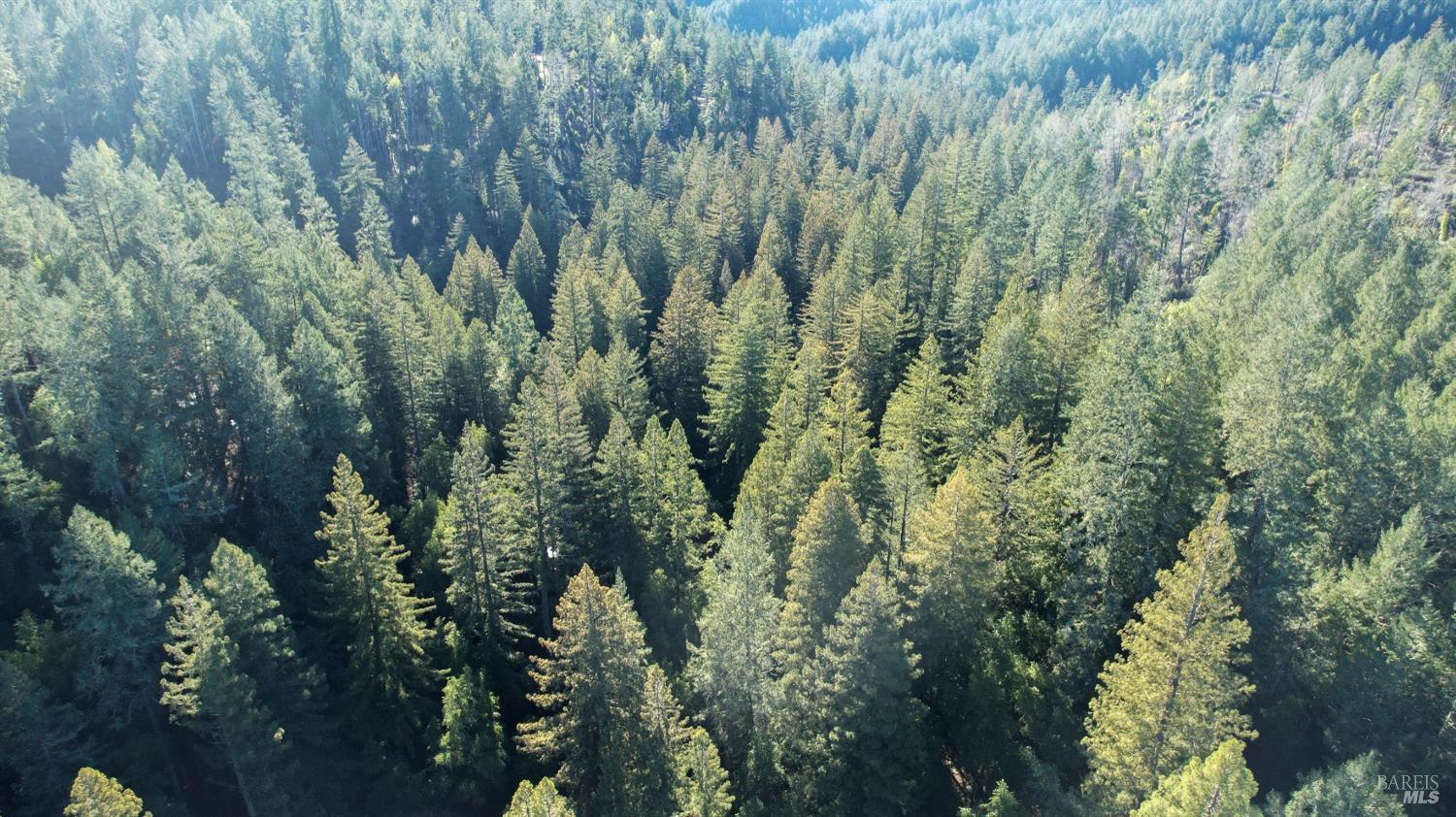 1490 Felta Road Healdsburg, CA 95448 - Photo 16 of 16