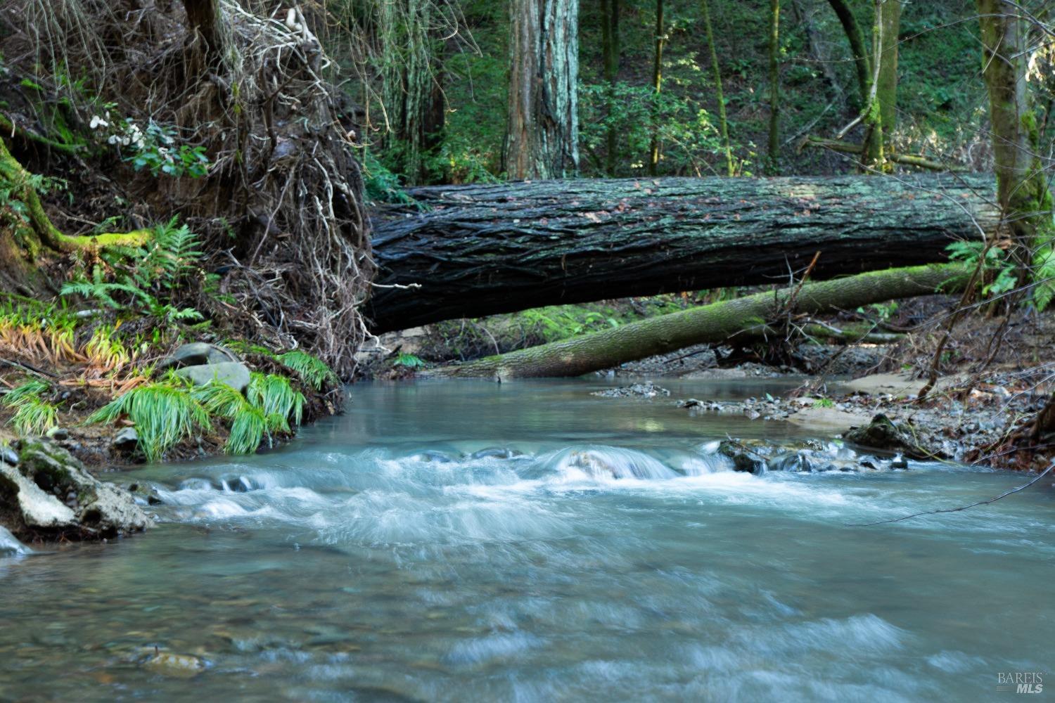 1490 Felta Road Healdsburg, CA 95448 - Photo 8 of 16