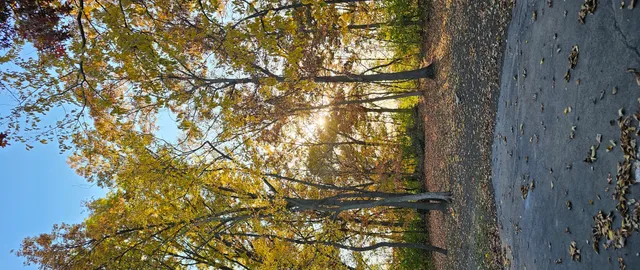 $675,000 | 12947 West Oak View Court, Homer Glen, IL 60491