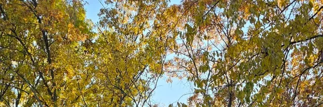 $675,000 | 12947 West Oak View Court, Homer Glen, IL 60491