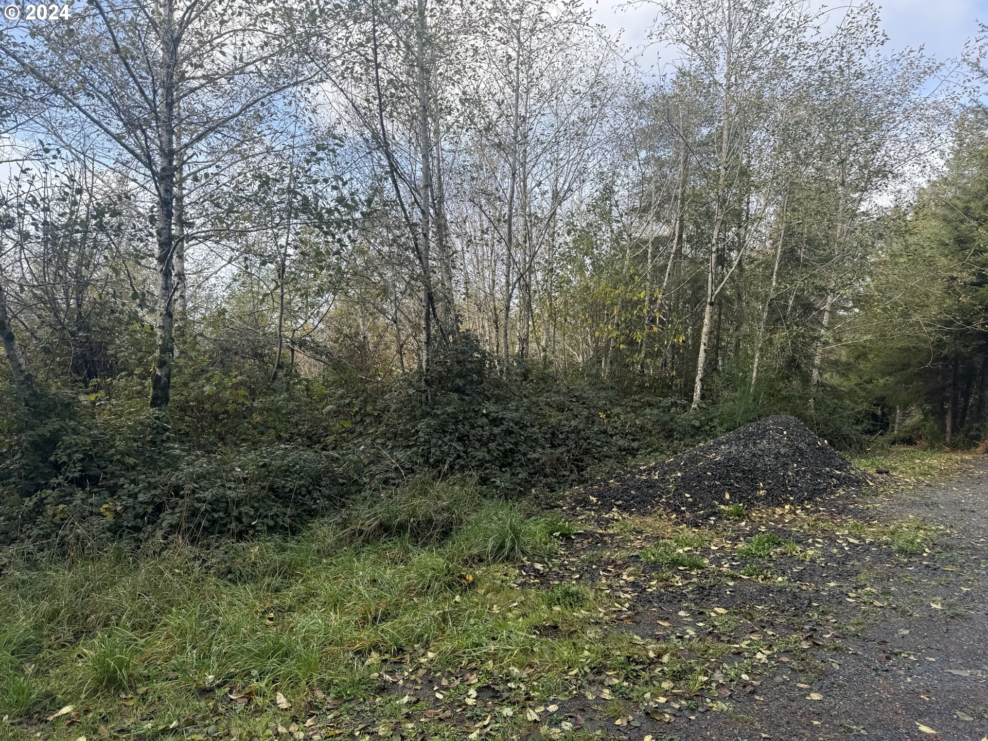 1 Potato Bottom Road, Unit 601 Lakeside, OR 97449 - Photo 3 of 27