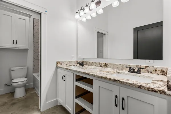 a bathroom with a sink and a toilet