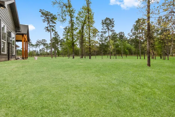 a view of a kids in a park