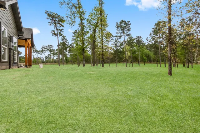 a view of a kids in a park