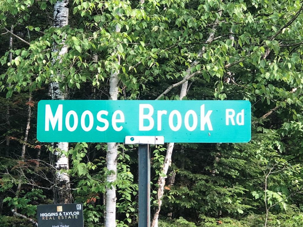 119 Moose Brk Road Greenville, ME 04441 - Photo 7 of 24 IMG_0425