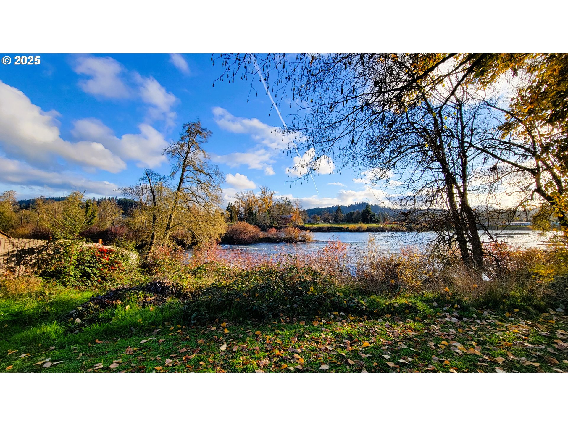 552 West D Street Springfield, OR 97477 - Photo 27 of 29 a view of a park