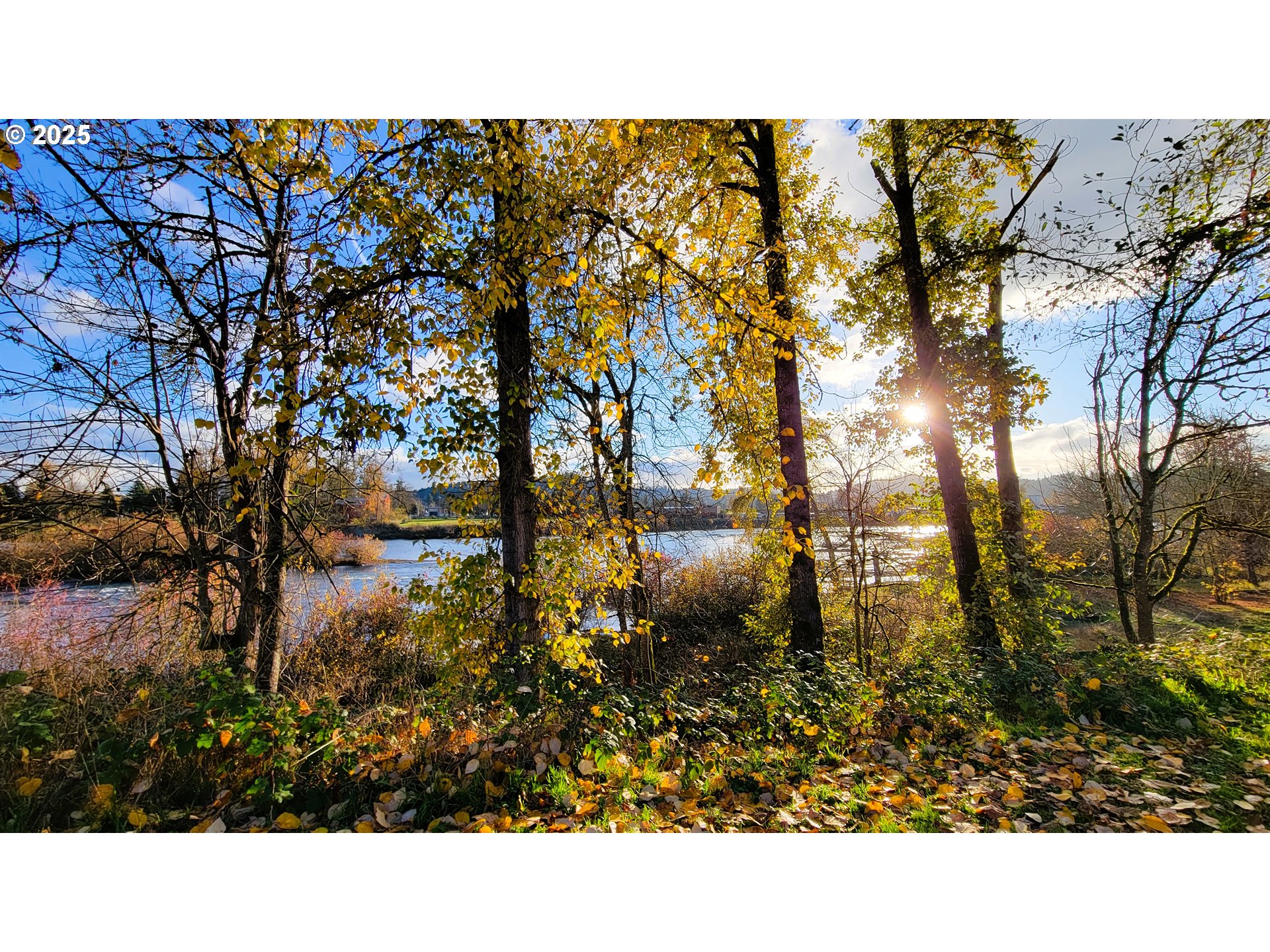 552 West D Street Springfield, OR 97477 - Photo 28 of 29