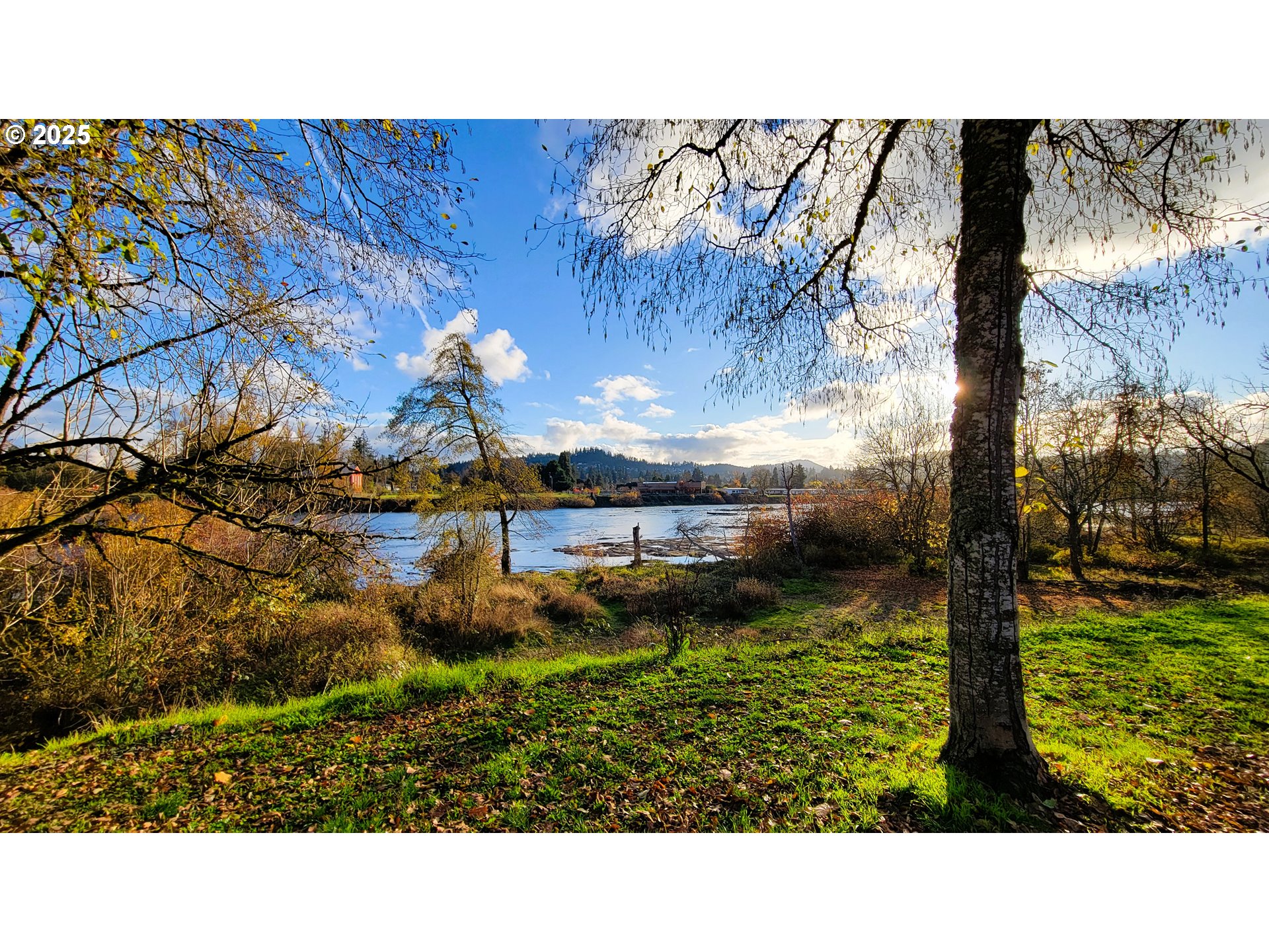 552 West D Street Springfield, OR 97477 - Photo 29 of 29 a open area with a yard