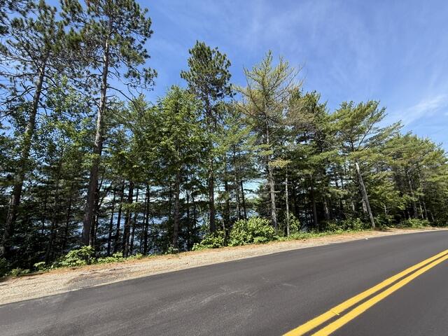 Lot 5-10 Charlotte Road Charlotte, ME 04666 - Photo 13 of 24 IMG_1689 (2)
