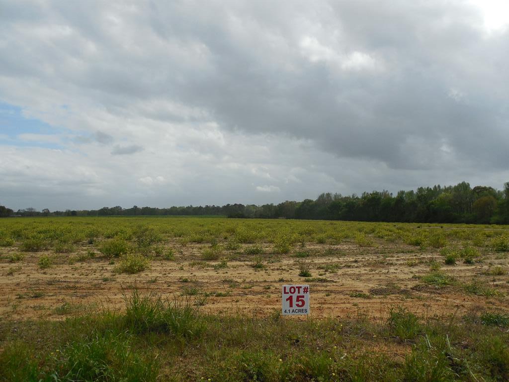 4.1 Acres Dothan Al Dothan, AL 36305 - Photo 1 of 1 Main View