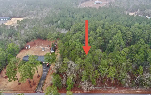 $20,000 | 5370 Crutchlow Court, Nichols, SC 29581