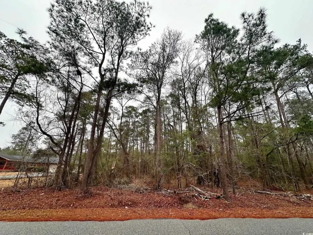 $20,000 | 5370 Crutchlow Court, Nichols, SC 29581