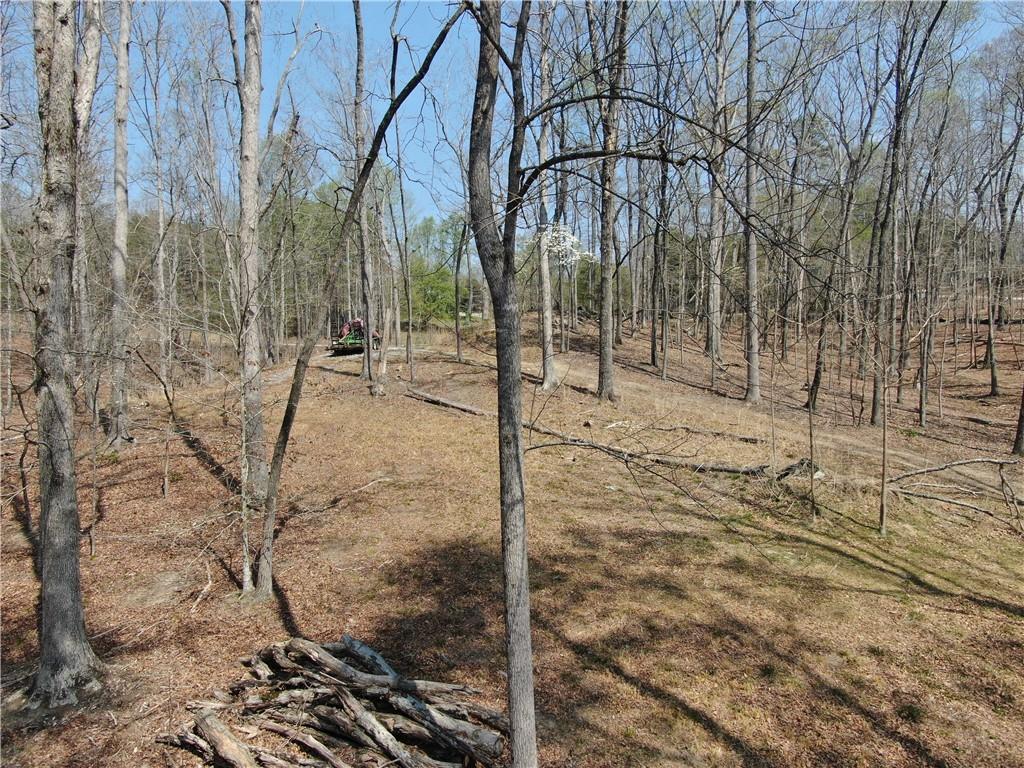 918 Purvis Road Baldwin, GA 30511 - Photo 16 of 18 a view of a yard with trees