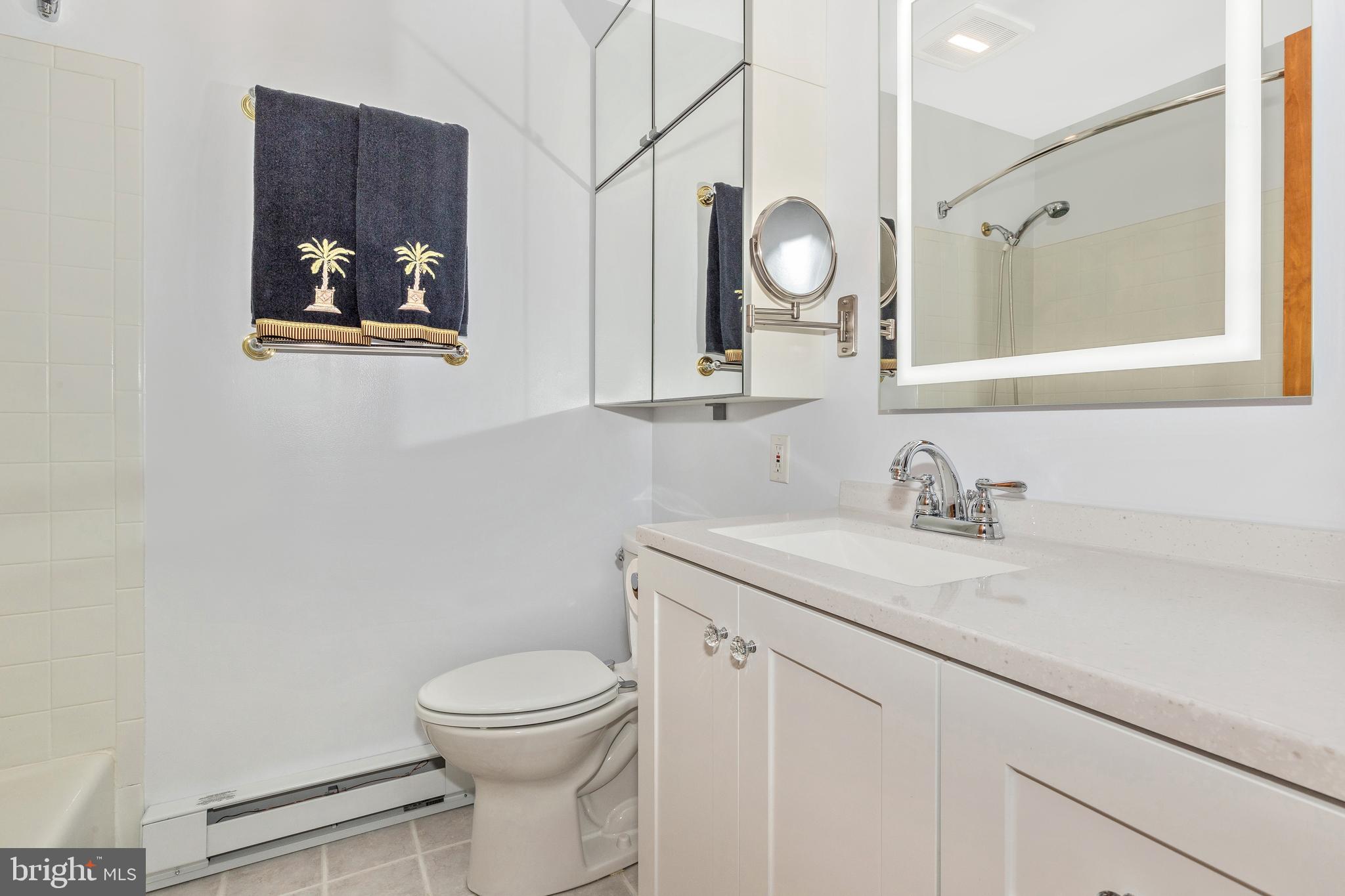 5506 Woodlyn Road Frederick, MD 21703 - Photo 19 of 51 a bathroom with a toilet a sink and mirror