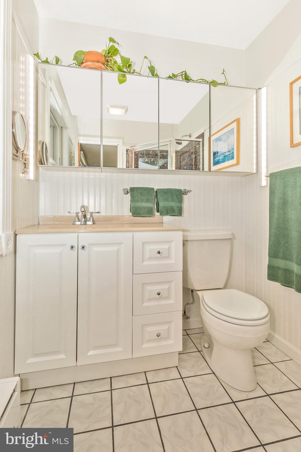 5506 Woodlyn Road Frederick, MD 21703 - Photo 24 of 51 a bathroom with a toilet a sink and a window
