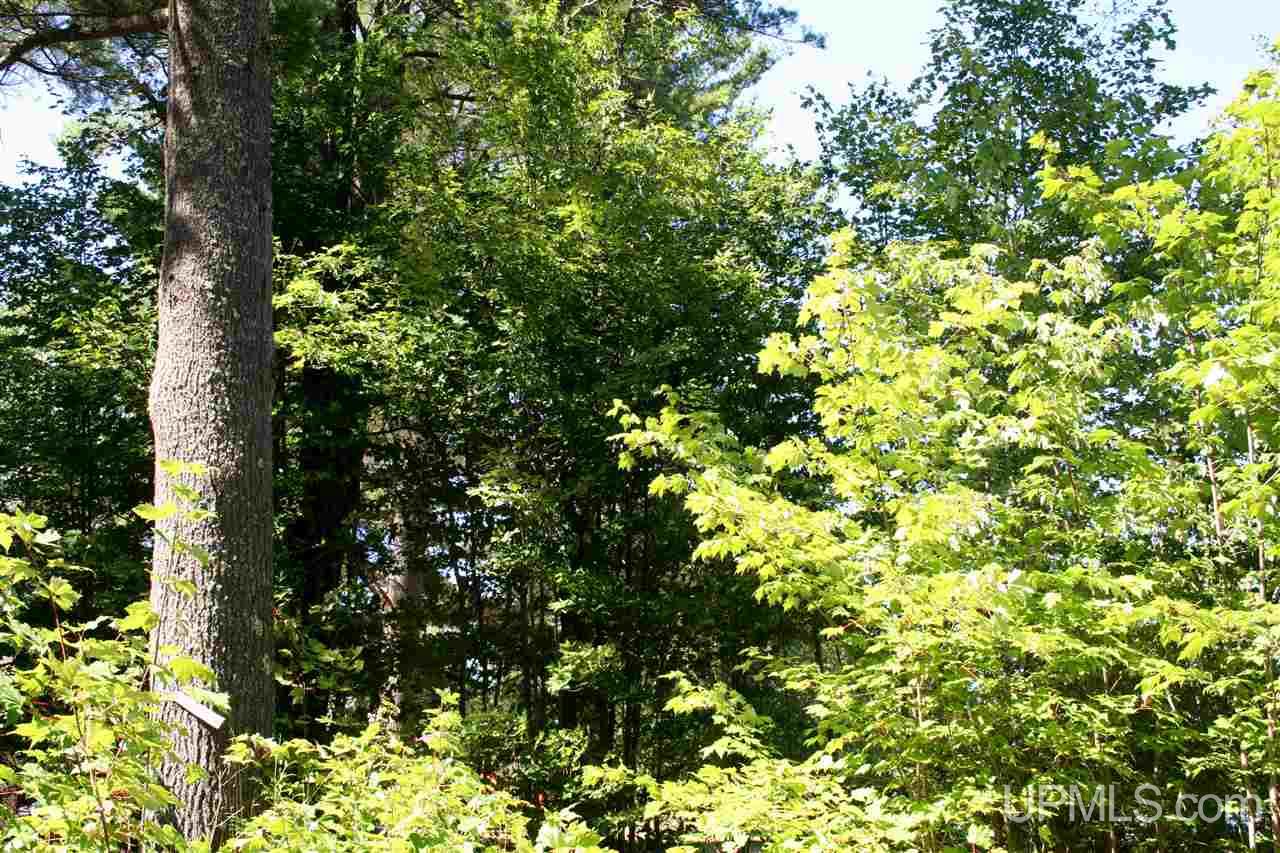 E6450 East Cook's Lake Road Munising, MI 49862 - Photo 18 of 23