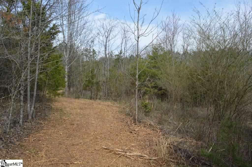 Store Road Easley, SC 29640 - Photo 11 of 22