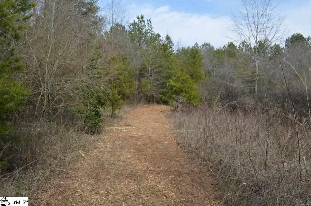 Store Road Easley, SC 29640 - Photo 12 of 22