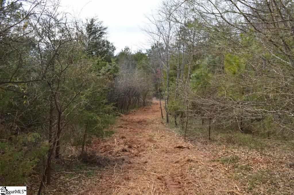 Store Road Easley, SC 29640 - Photo 13 of 22