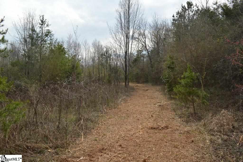 Store Road Easley, SC 29640 - Photo 14 of 22