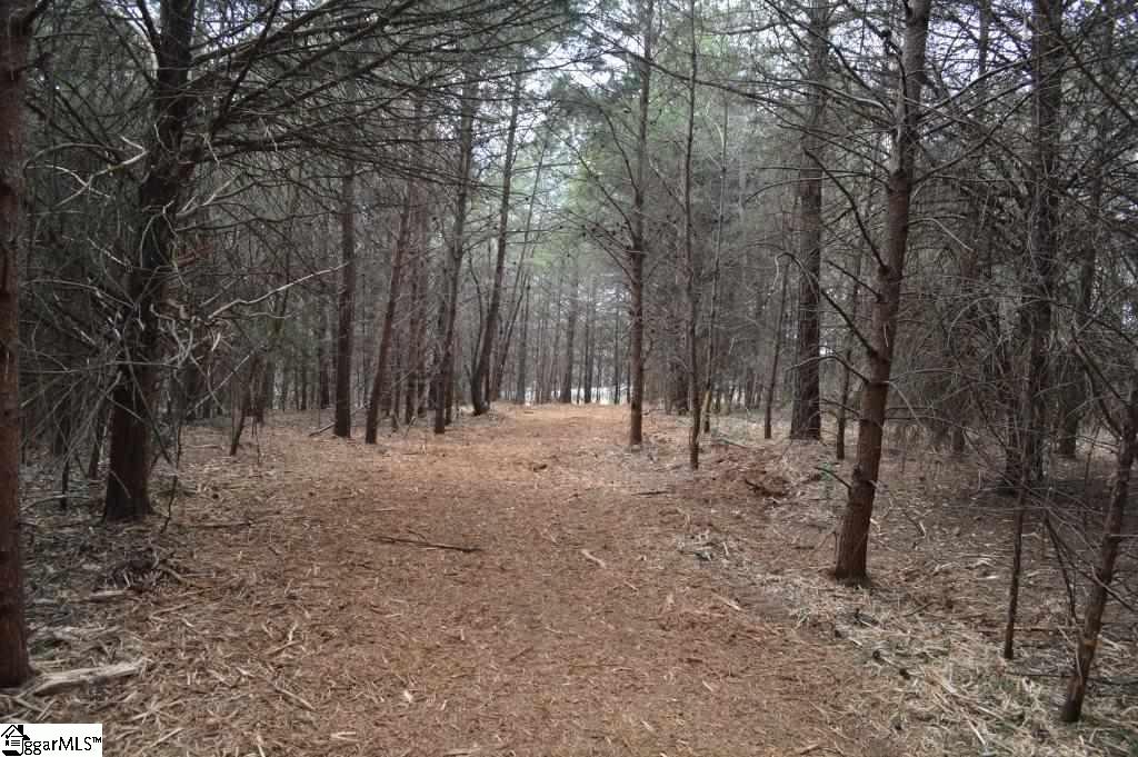 Store Road Easley, SC 29640 - Photo 3 of 22