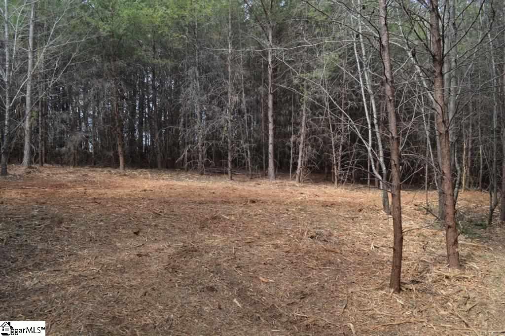 Store Road Easley, SC 29640 - Photo 4 of 22