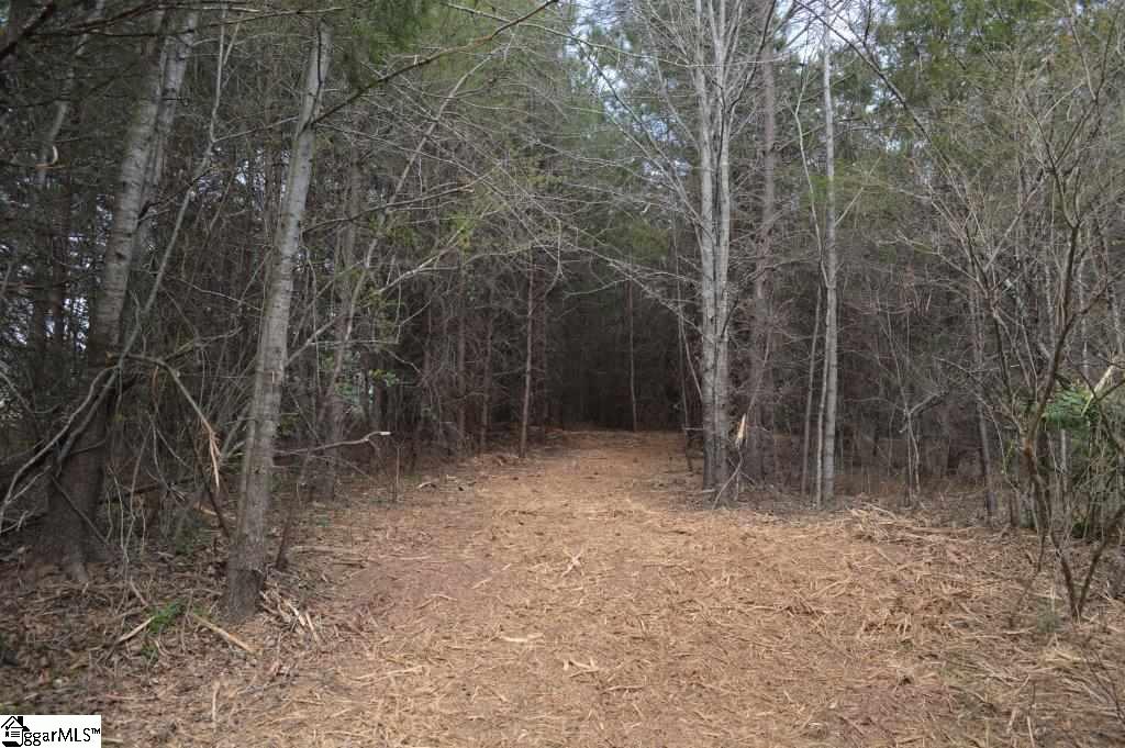 Store Road Easley, SC 29640 - Photo 5 of 22