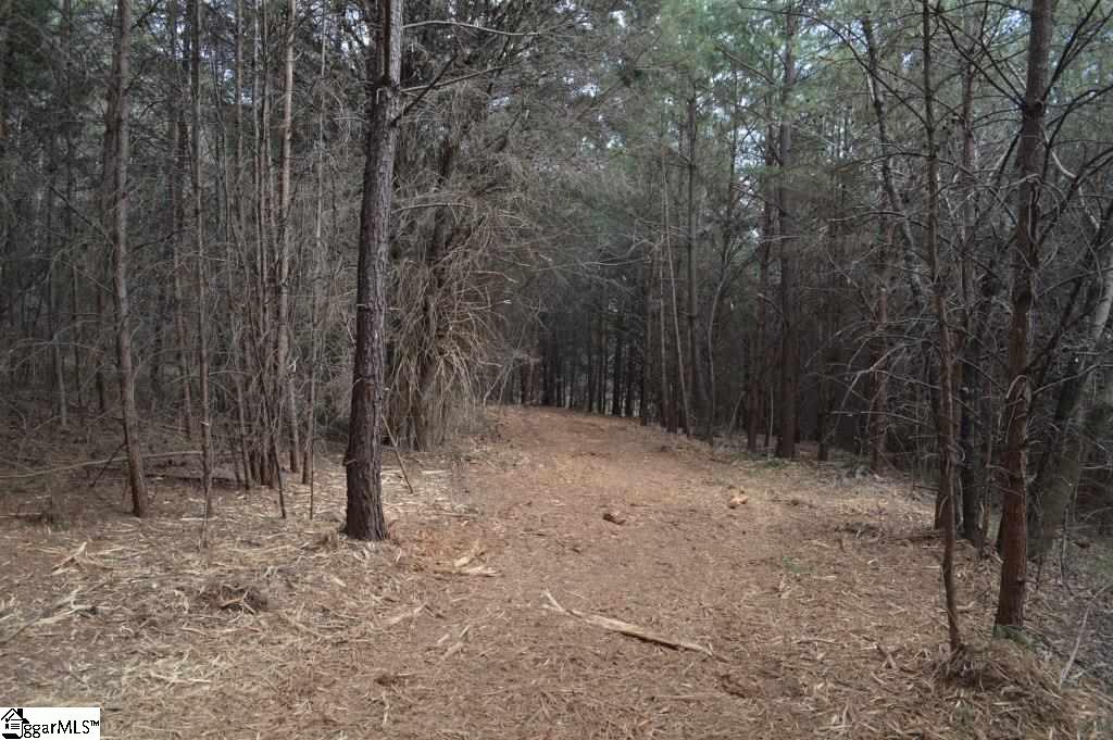 Store Road Easley, SC 29640 - Photo 6 of 22
