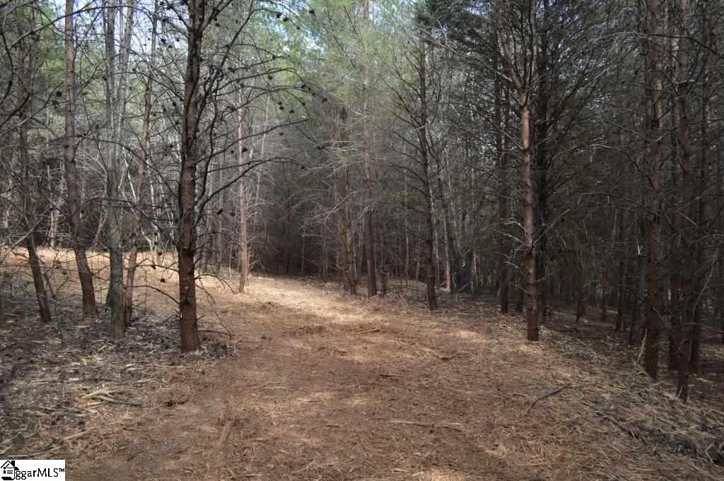 Store Road Easley, SC 29640 - Photo 7 of 22