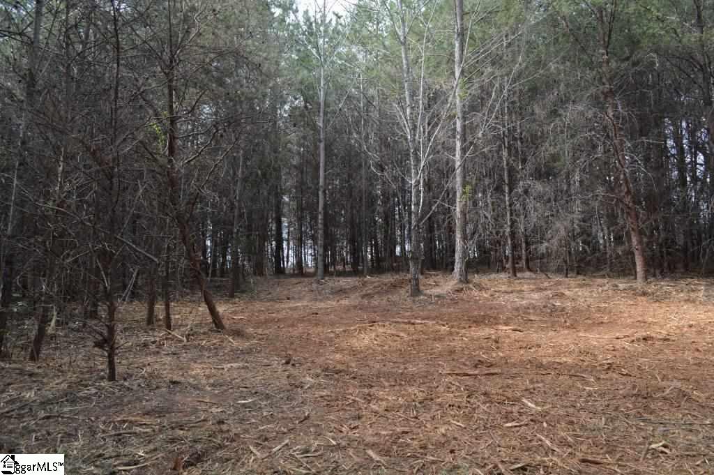 Store Road Easley, SC 29640 - Photo 8 of 22