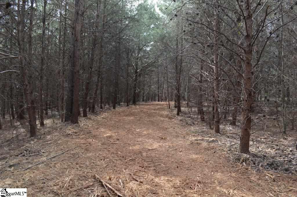 Store Road Easley, SC 29640 - Photo 9 of 22